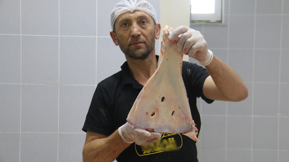 Sivas'ta Kasapların Mirası: Selçuklu Döneminden Günümüze Uzanan Gelenek