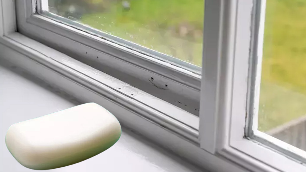 Sıcak Yaz Günlerinde Sivrisineklerle Baş Etmenin Pratik Yolları