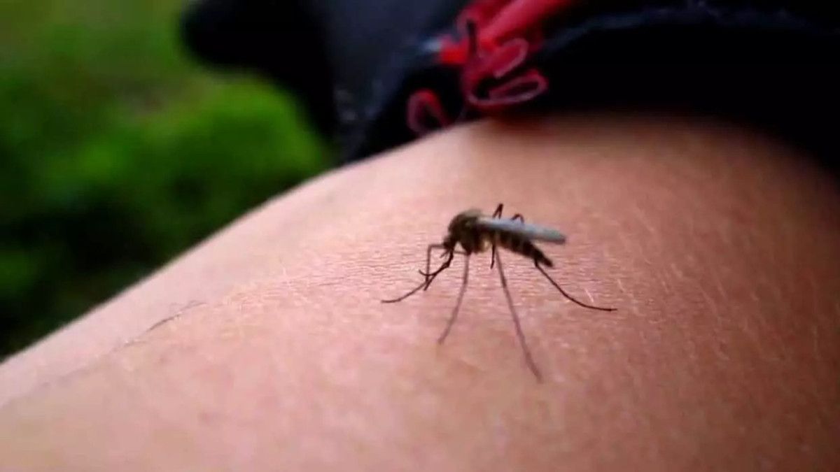 Bir Miktar Sabun Sürmek Yeterli!