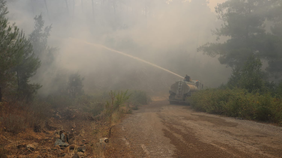 Suriye'de Artan Hava Sıcaklıkları ve Orman Yangınları