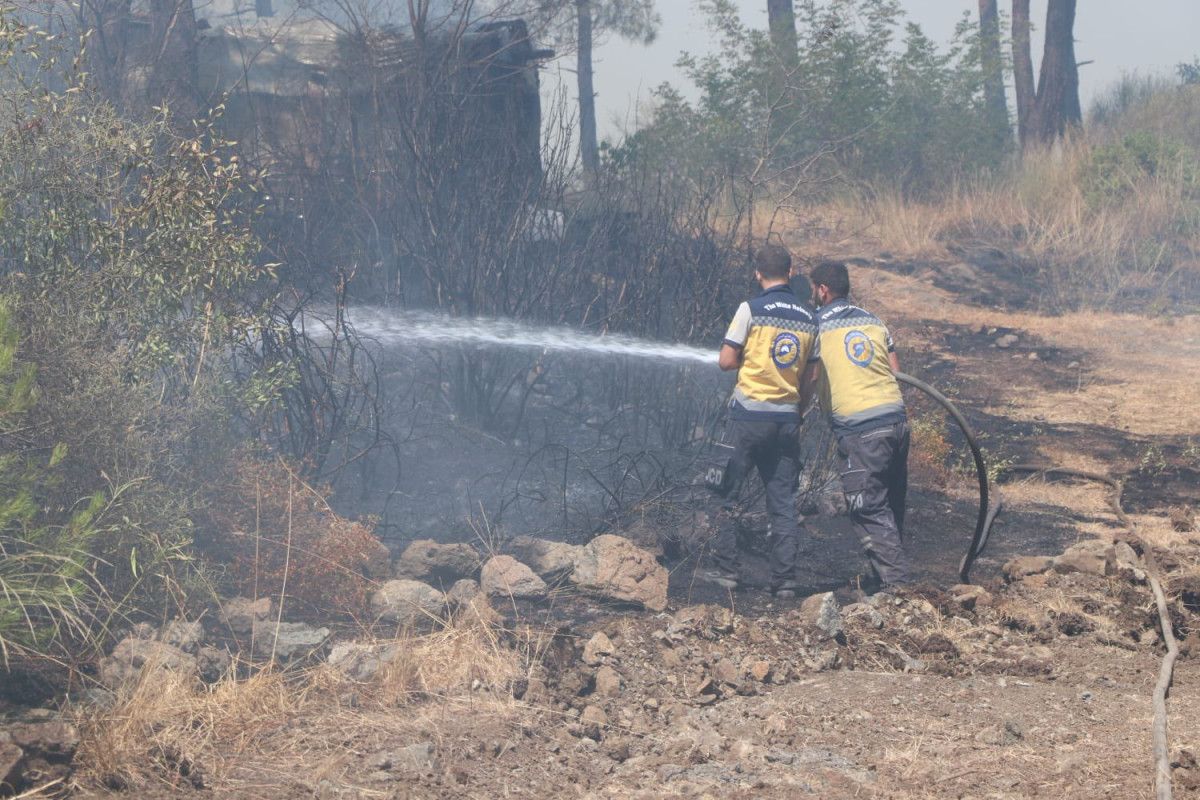 Lazkiye'deki Yangınlara Müdahale ve Kontrol Altına Alma Süreci