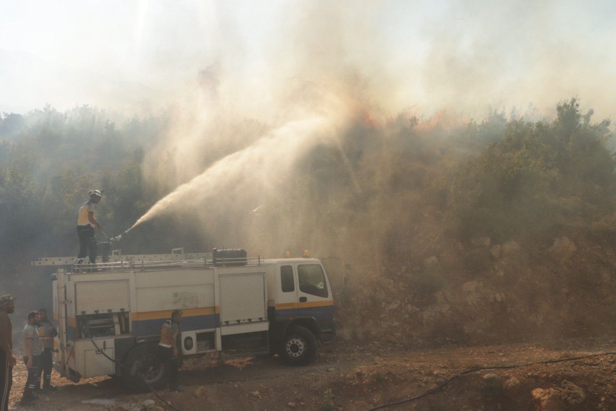 Uluslararası Destek ve İşbirliği