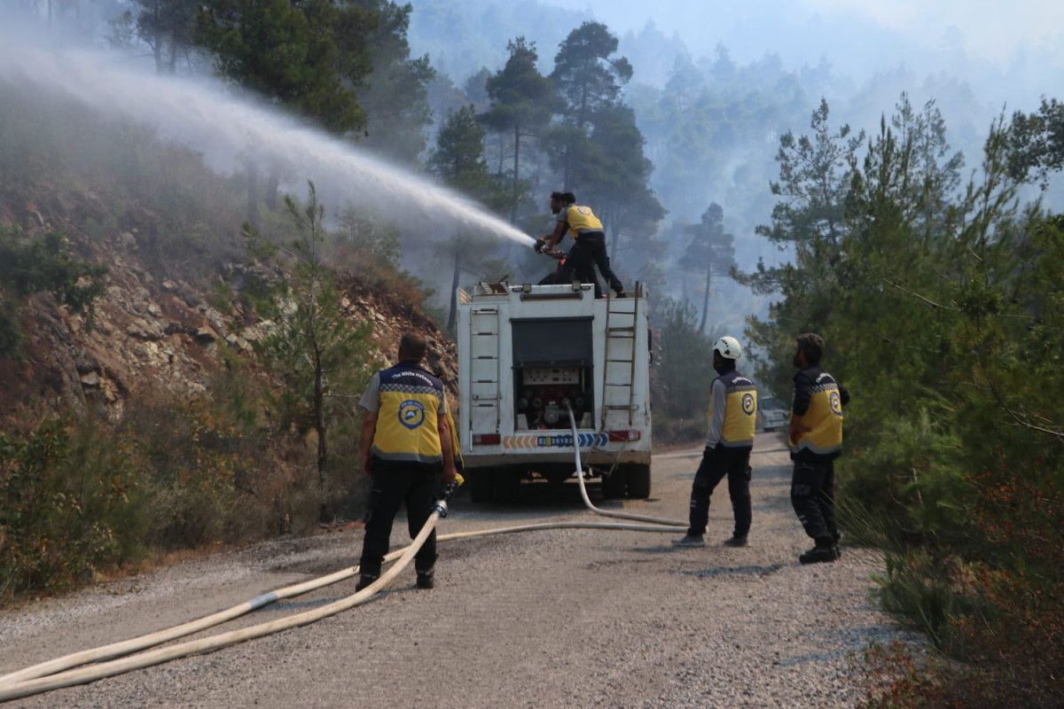 Mevcut Durum ve Gelecek Planları