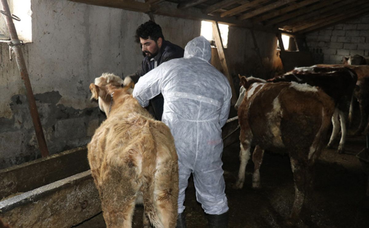 Koruyucu Aşılama ve Bağışıklık Sağlama Süreci