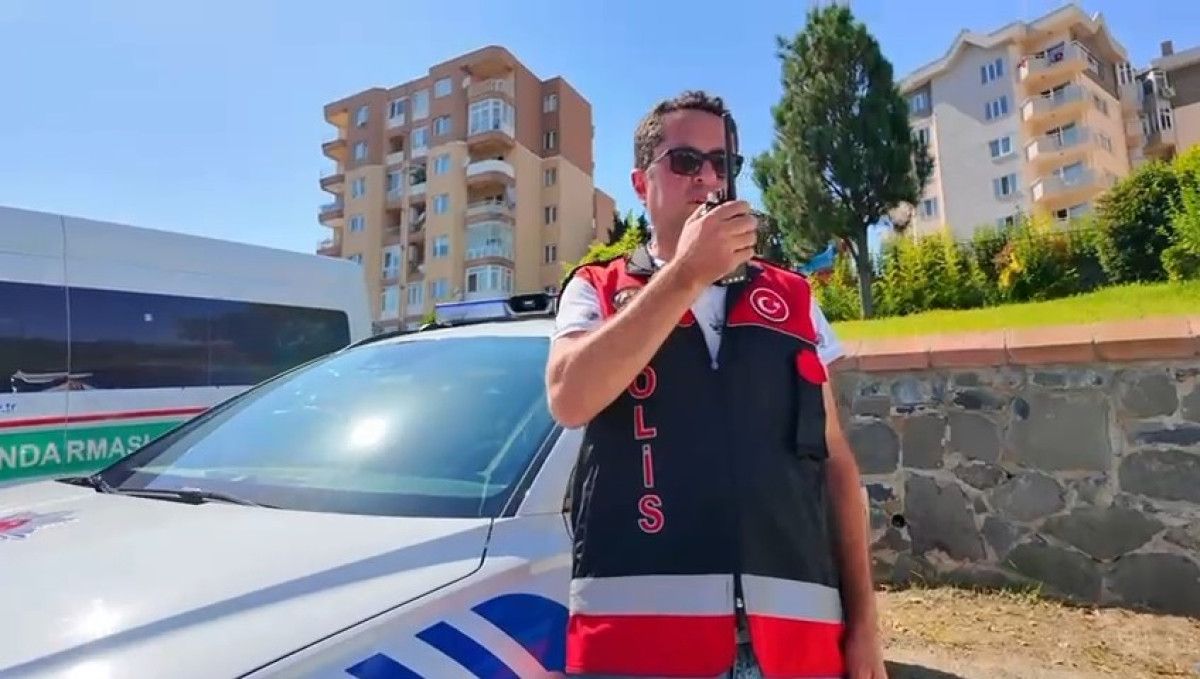 Gözlemler ve Sonuçlar