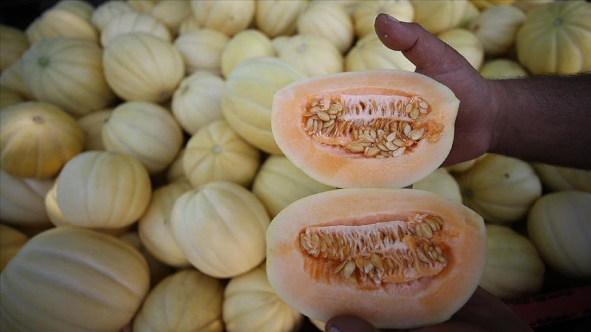 Gıda zehirlenmesine yol açan faktörler ve riskler