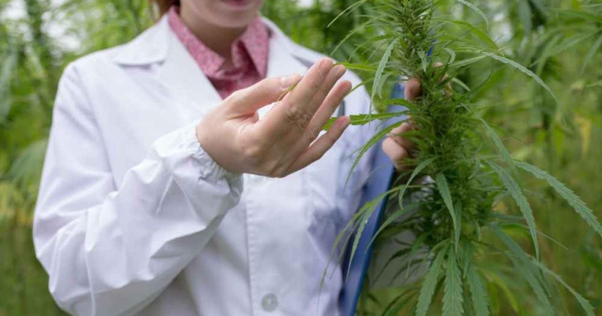 Hangi Hastalıklar İçin Kullanılır?