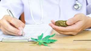 Tıbbi Kenevirin Faydaları ve Reçeteyle Kullanımı: Ne İşe Yarar?