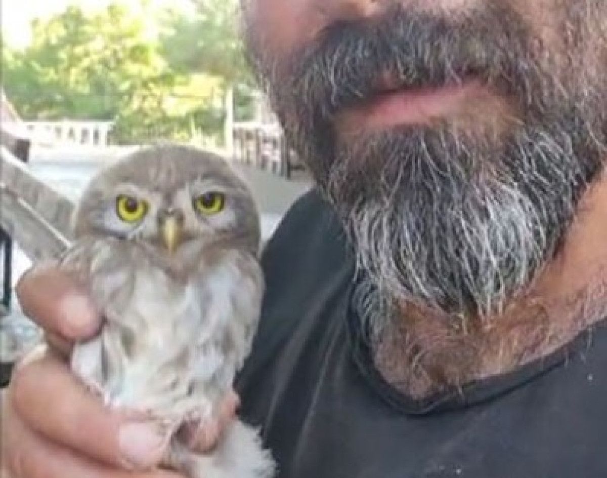 Sevgi ve doğa bilincinin önemi