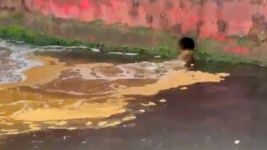 Türkiye’de Çevre Koruma ve Deniz Kirliliğiyle Mücadele Çabaları