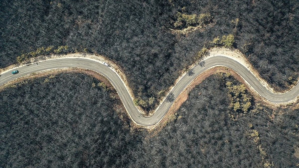 İlave Destekler ve Yardımlar