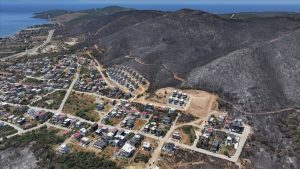 Türkiye’de Orman Yangınlarıyla Mücadele ve Güncel Durum