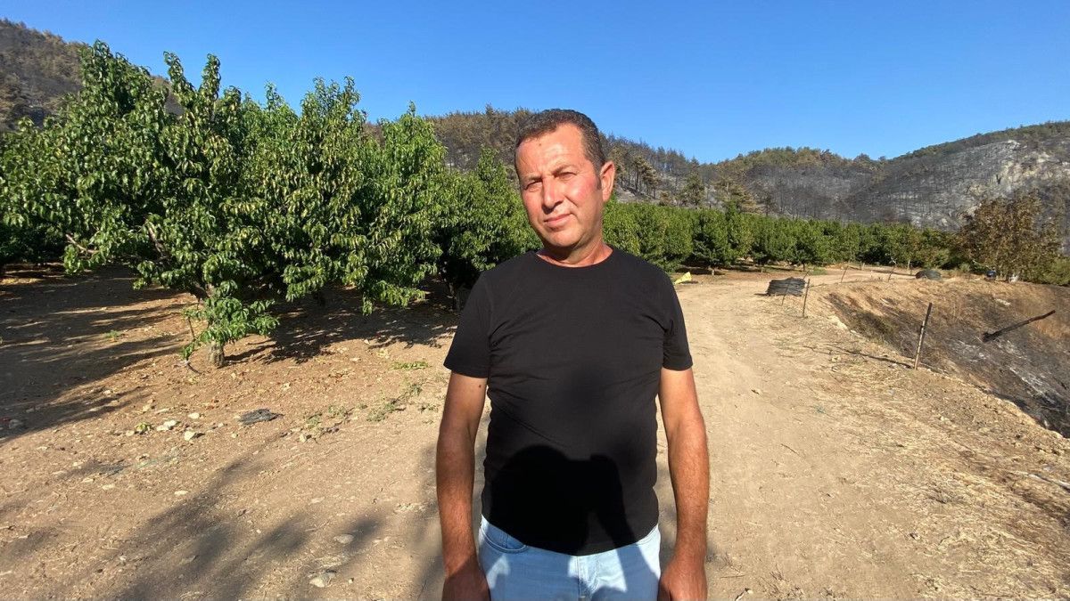 Türkiye'nin Ciğerlerini Yakan Yangında Mucize: Yeşil Kaldı