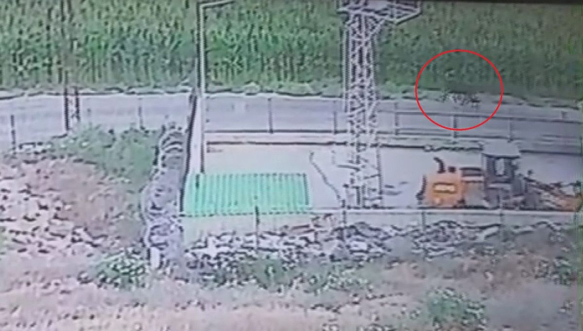 Hatay'da Çiftliğe Uruguay'dan Getirilen Anguslar Kayboldu: Bir Aydır Haber Alınamıyor