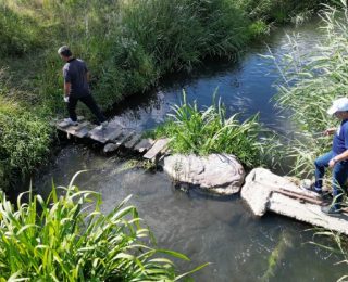 Van Gölü’nde Çekilme ve Çevresel Endişeler