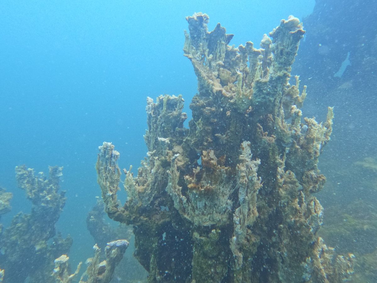 Yüksekliği ve Eşsiz Görüntüsüyle Dikkat Çekiyor