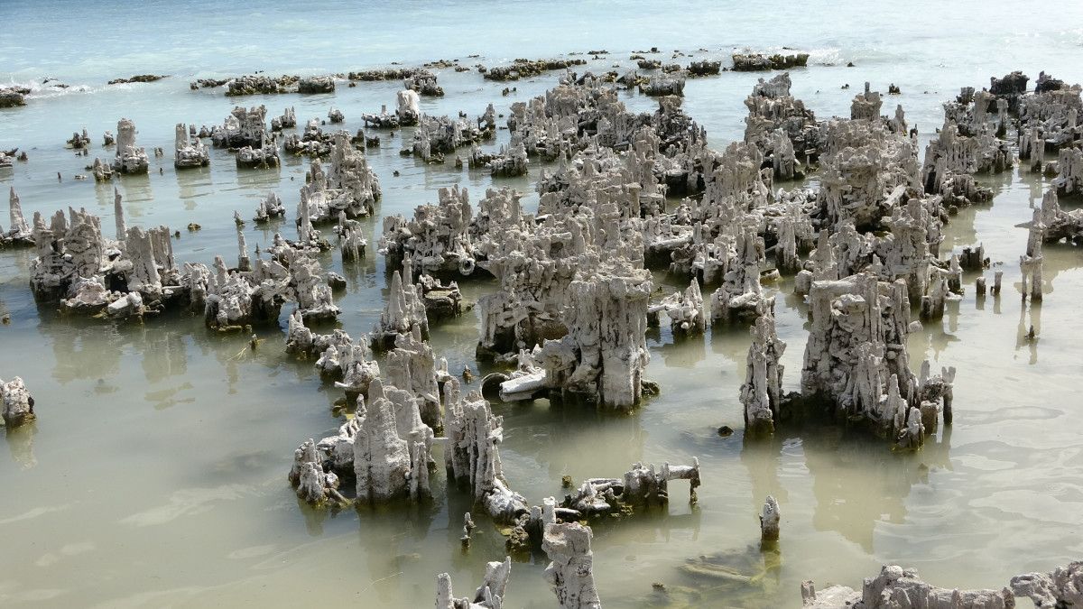 Başkan Cumali Birol'un Açıklamaları ve Keşfin Detayları