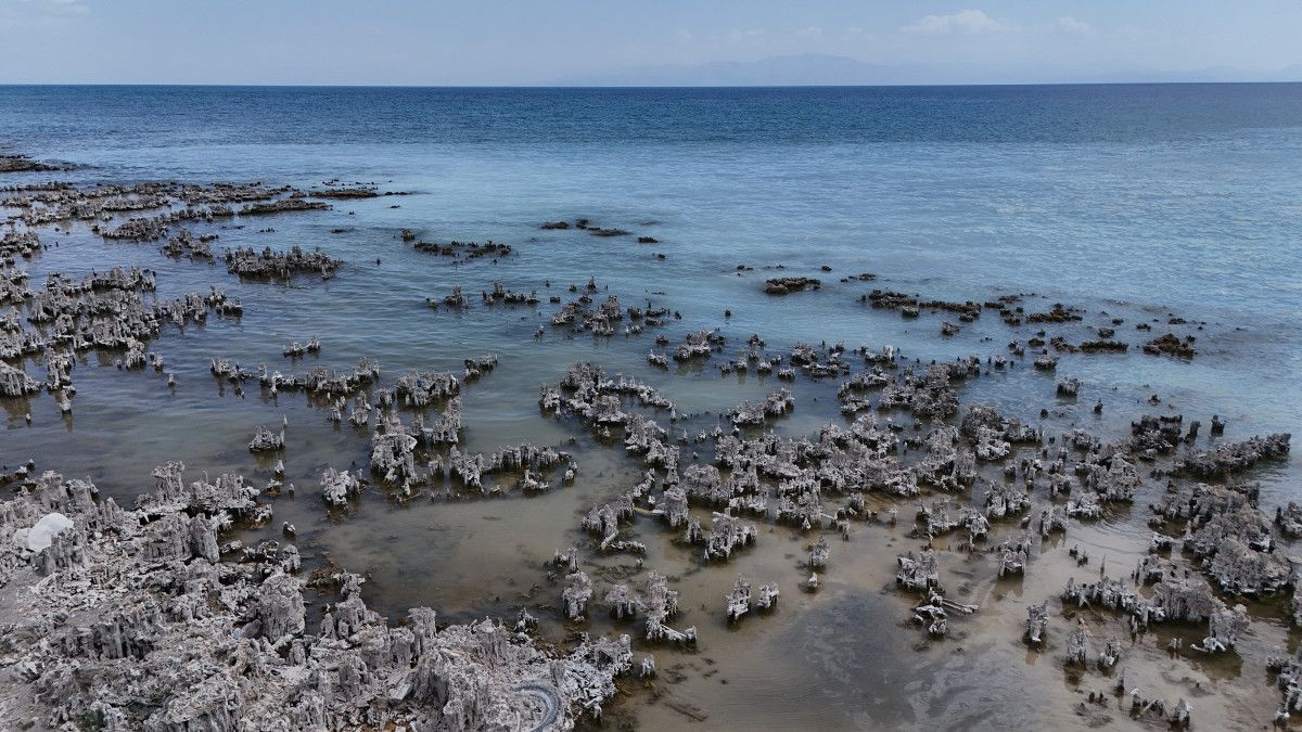 Başkan Cumali Birol'un Açıklamaları ve Keşfin Detayları