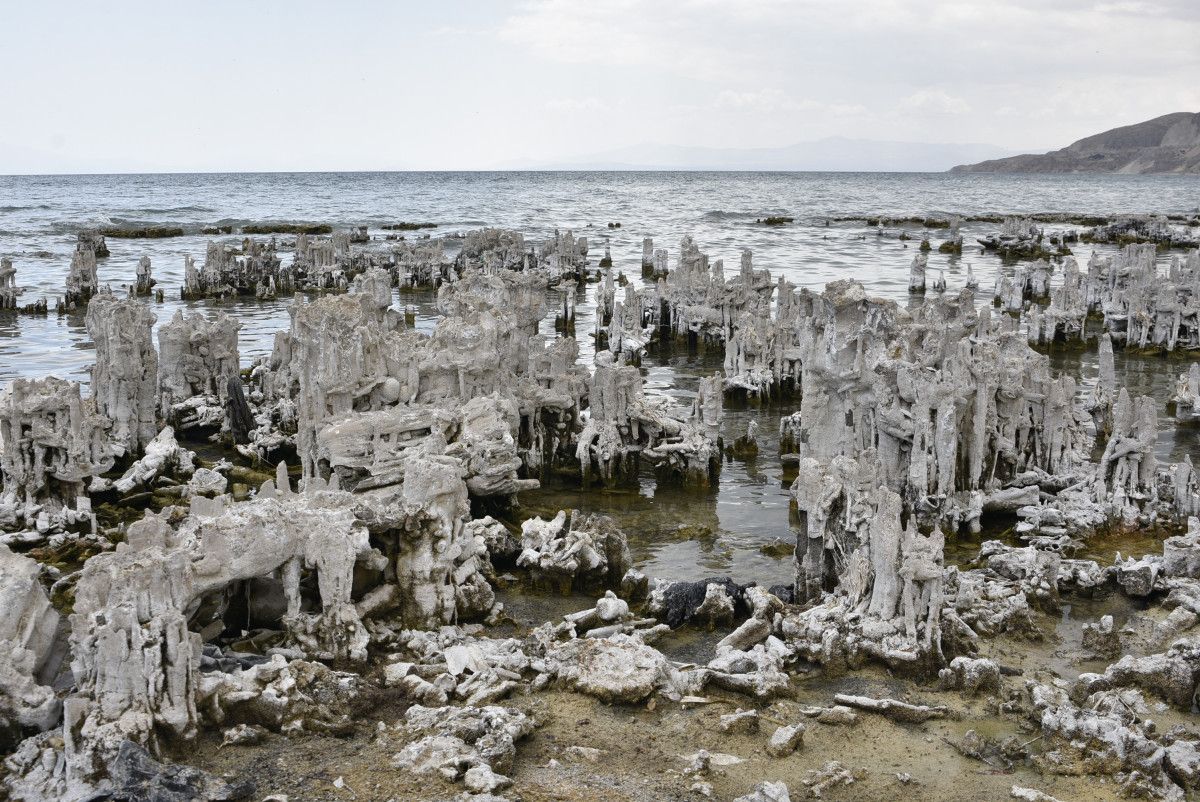 Turizm ve Ekonomiye Katkı Potansiyeli