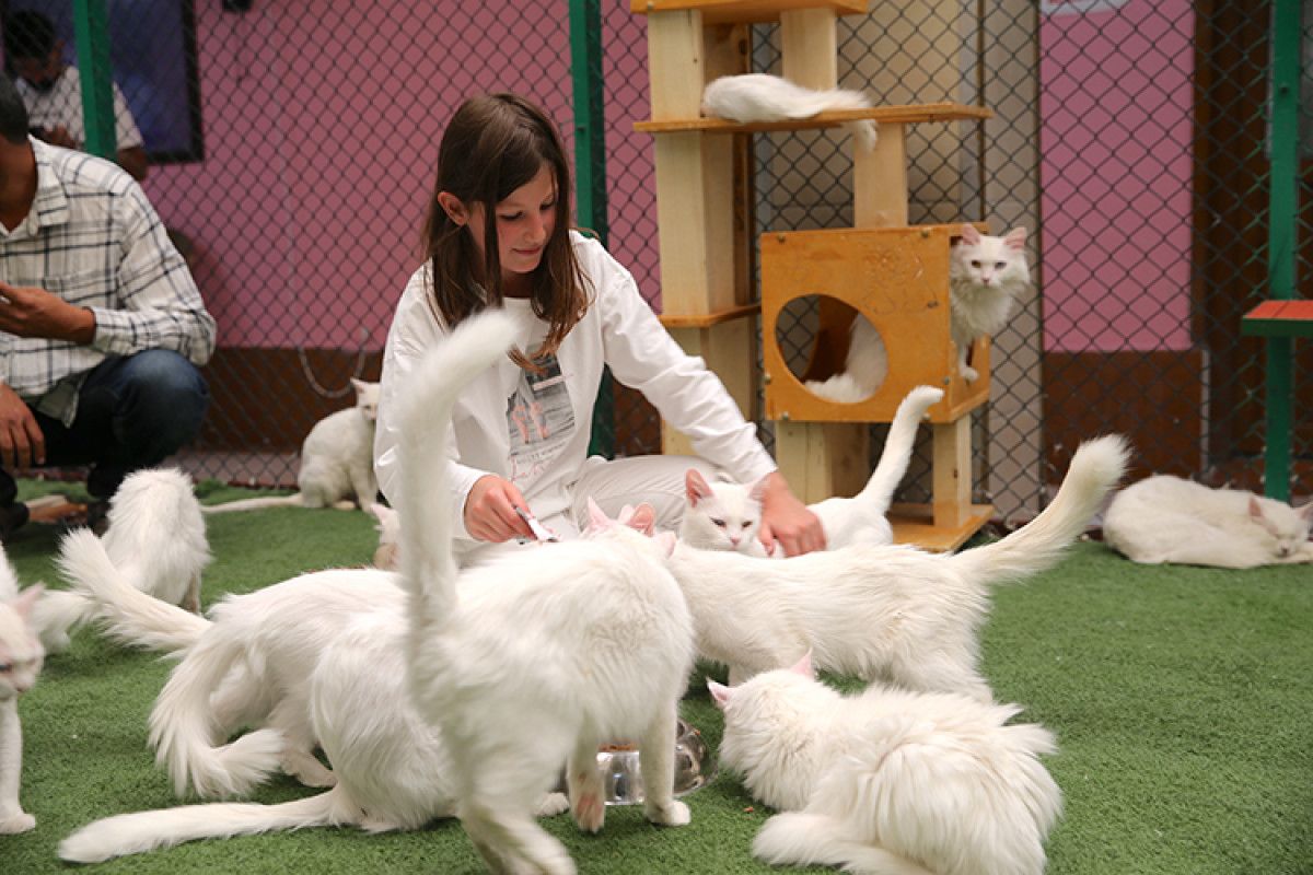 Yavruların Üretimi ve Sahiplendirme Programları