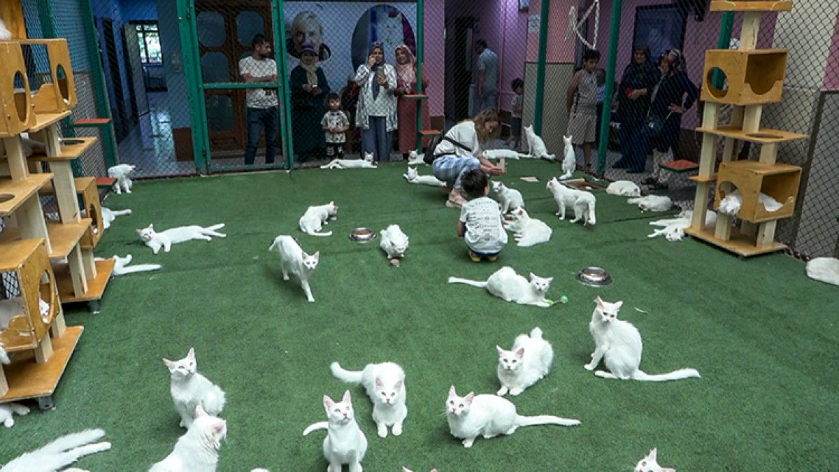 Doğum ve Sahiplendirme Sürecinin Detayları