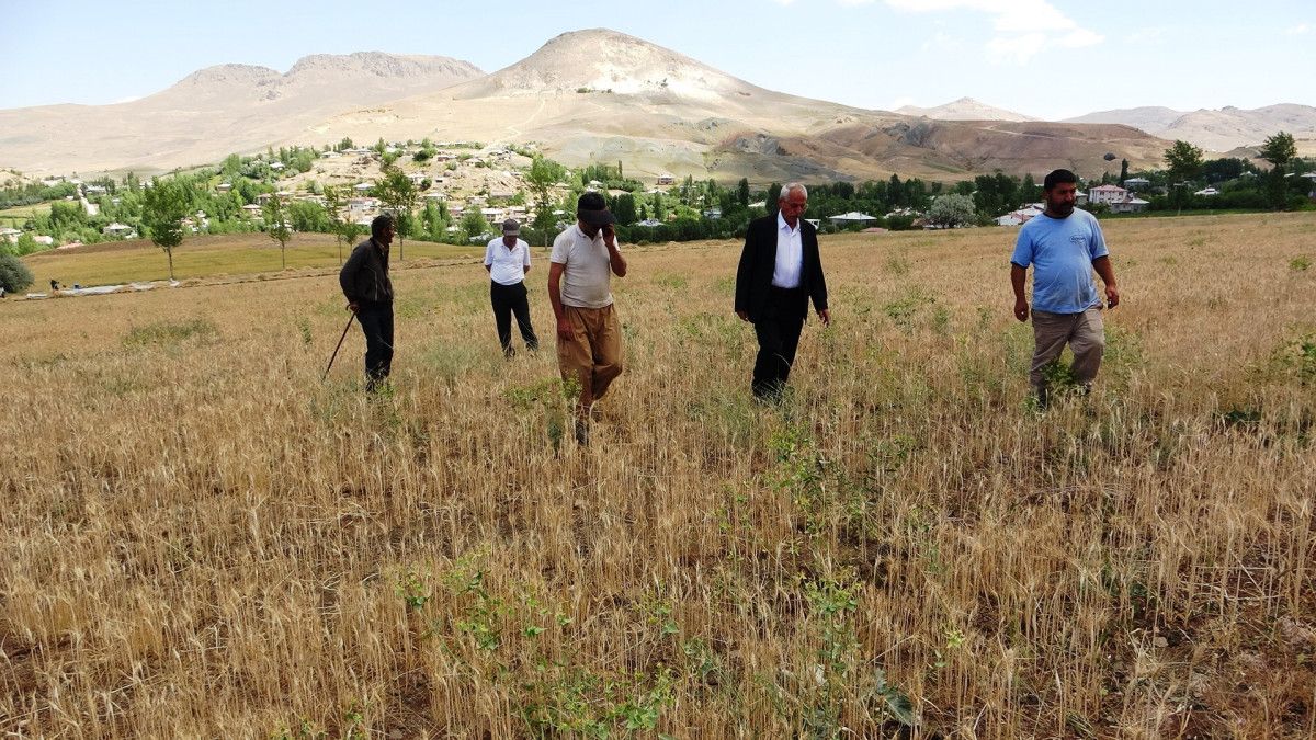 Mahalle Muhtarlarının Su Sorunu ve Çözüm Talepleri