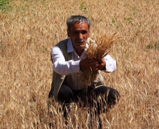Van’da Su Sorunu ve Çözüm Talepleri