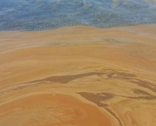 Yalova’da Denize Atık Yağ Dökülmesi: Fabrika Hakkında Soruşturma Başlatıldı