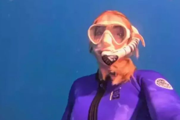 Yasemin Kay Allen’in Tatil Keyfi ve Okyanus Macerası