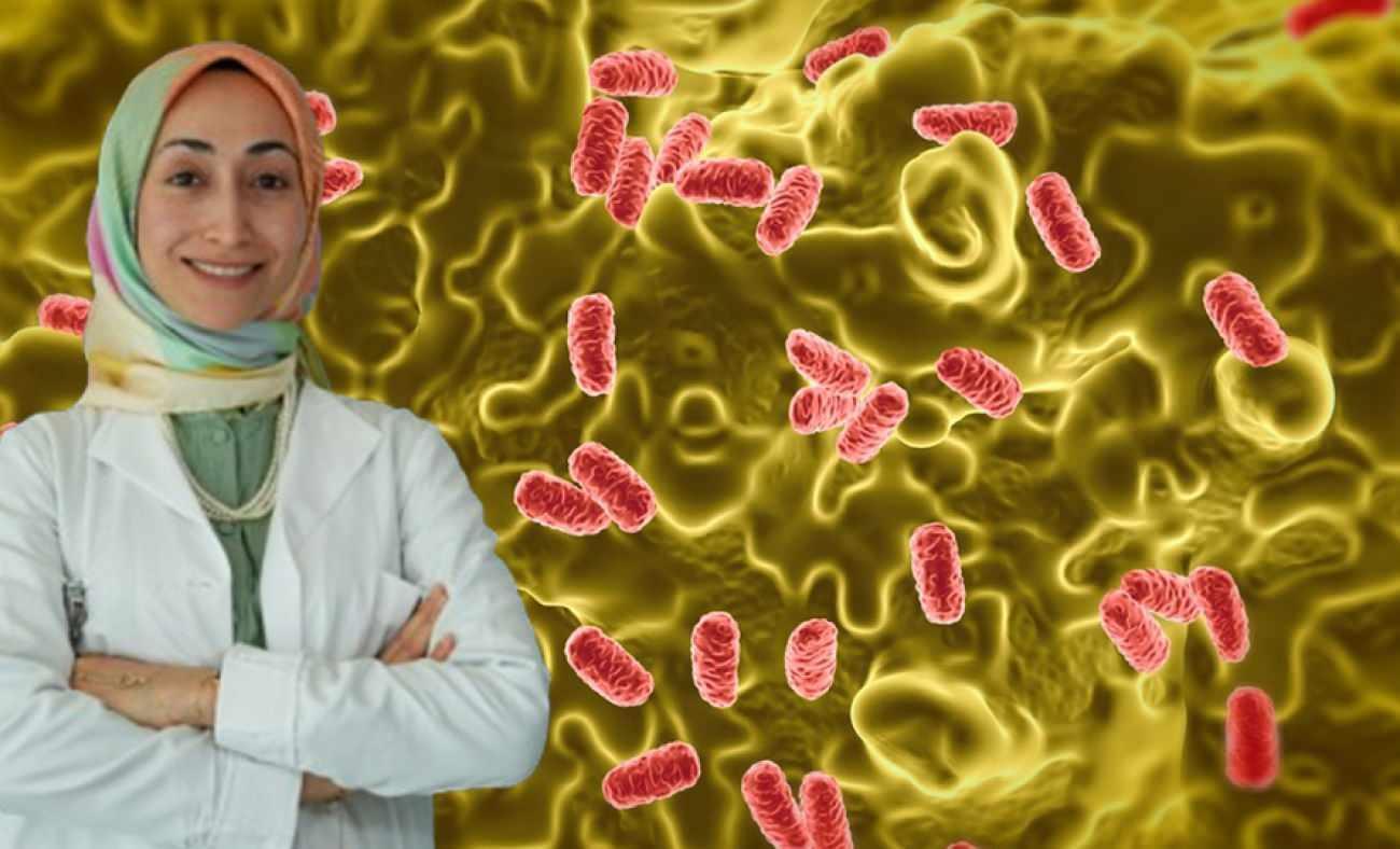 Salmonella Bakterisinin Özellikleri ve Alt Türleri