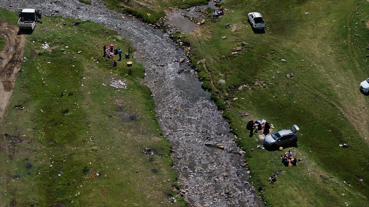Yerli ve Yabancı Turistlerin Gözdesi: Karadeniz Yaylaları