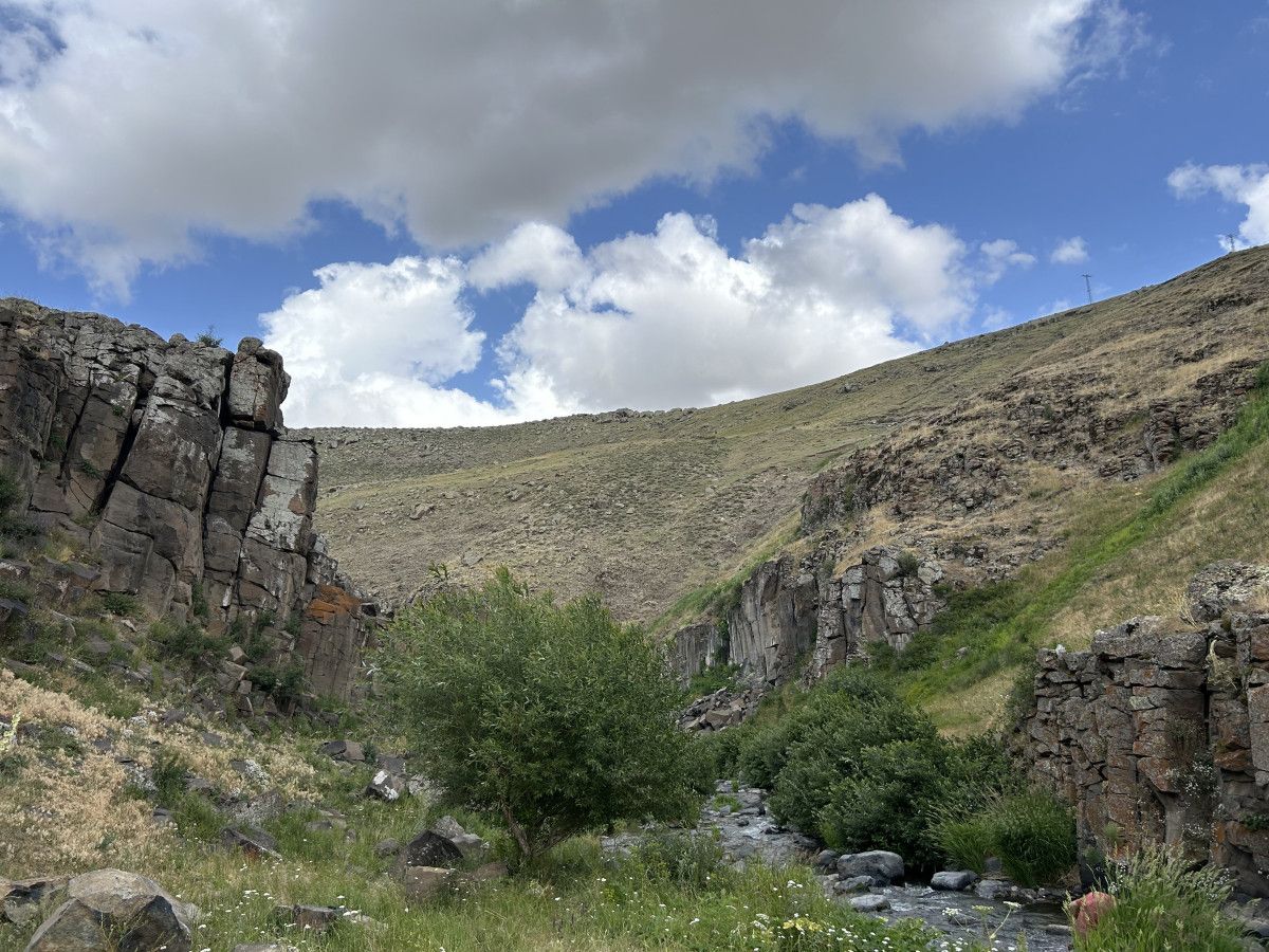 Ziyaretçilerden Gelen Yorumlar