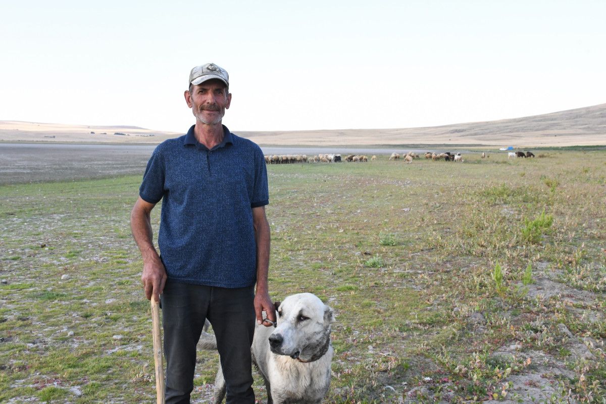 Göz alıcı kuş türleri ve doğal yaşam