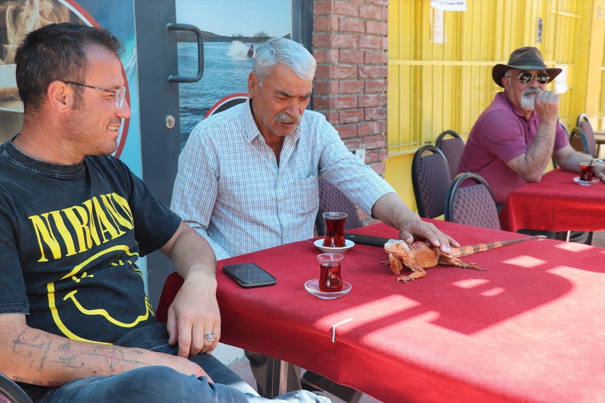 BEŞİKTAŞ'A ŞANS GETİRDİĞİNE İNANIYORUM