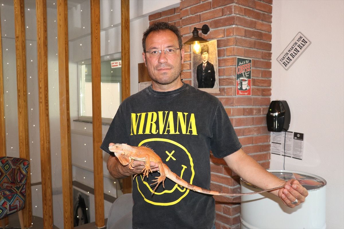 Yozgat'ın Sorgun İlçesinde Iguana 'Ökkeş' Çevreyi Büyülüyor