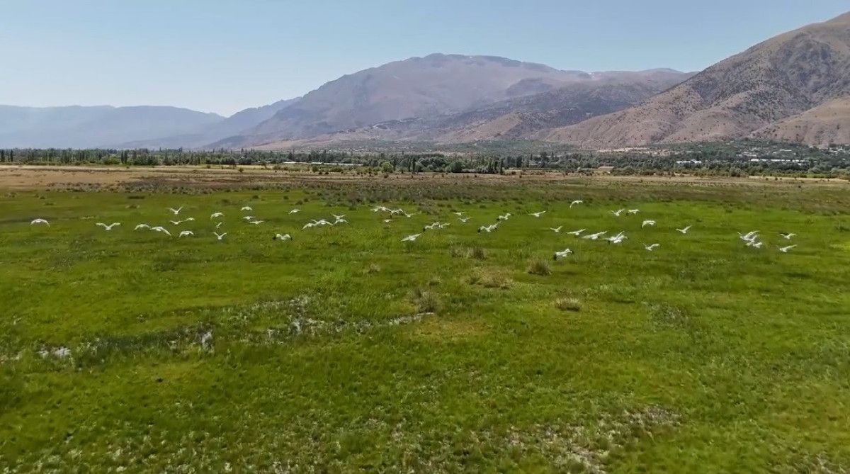 Yüzyıllardır Süregelen Göç Geleneği