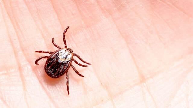 Korunma ve Tedavi Yöntemleri