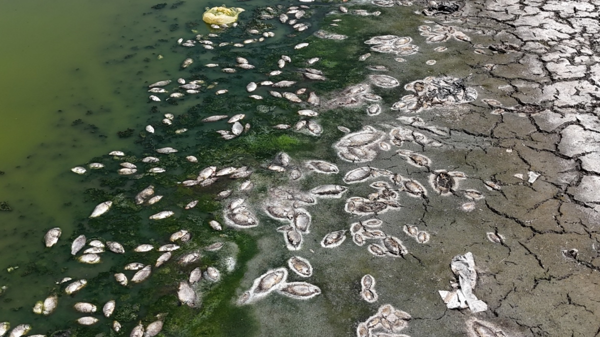 Sondaj Çalışmaları ve Su Temini Çabaları