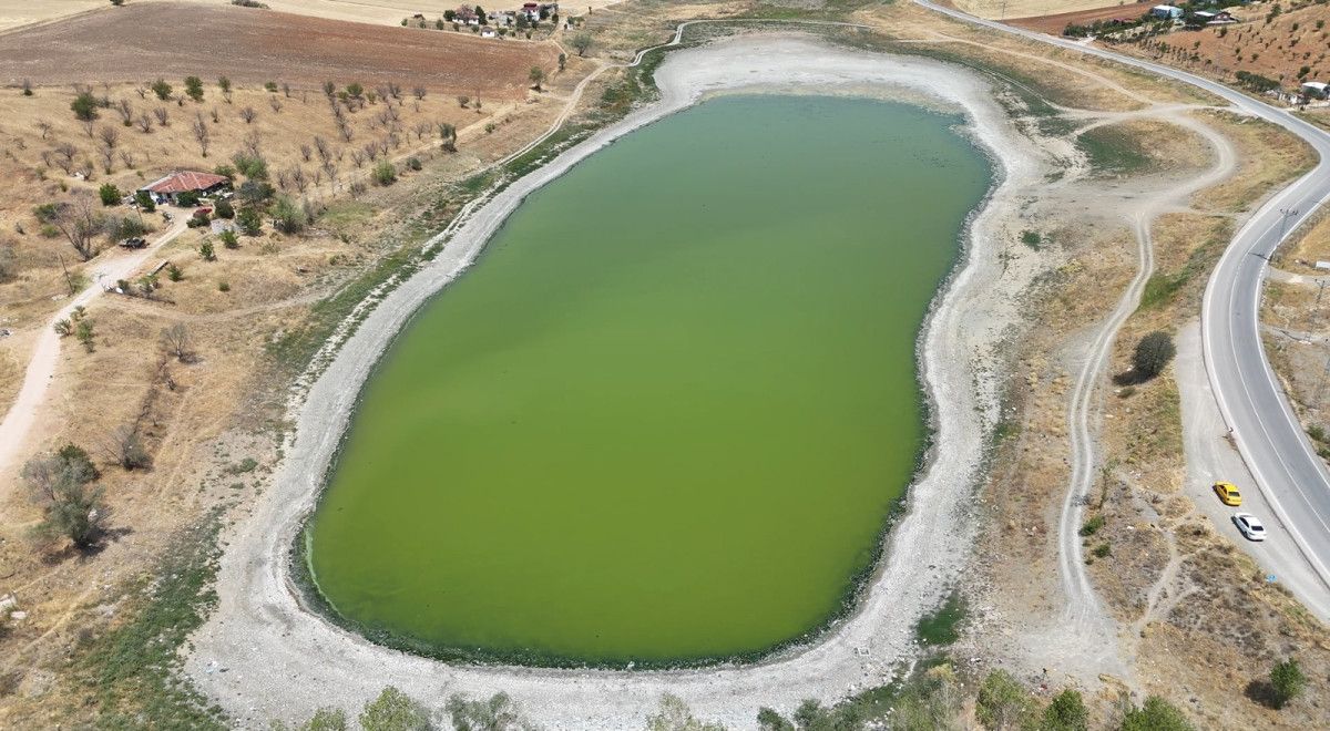Mahalle Muhtarının Görüşleri ve Durum Değerlendirmesi