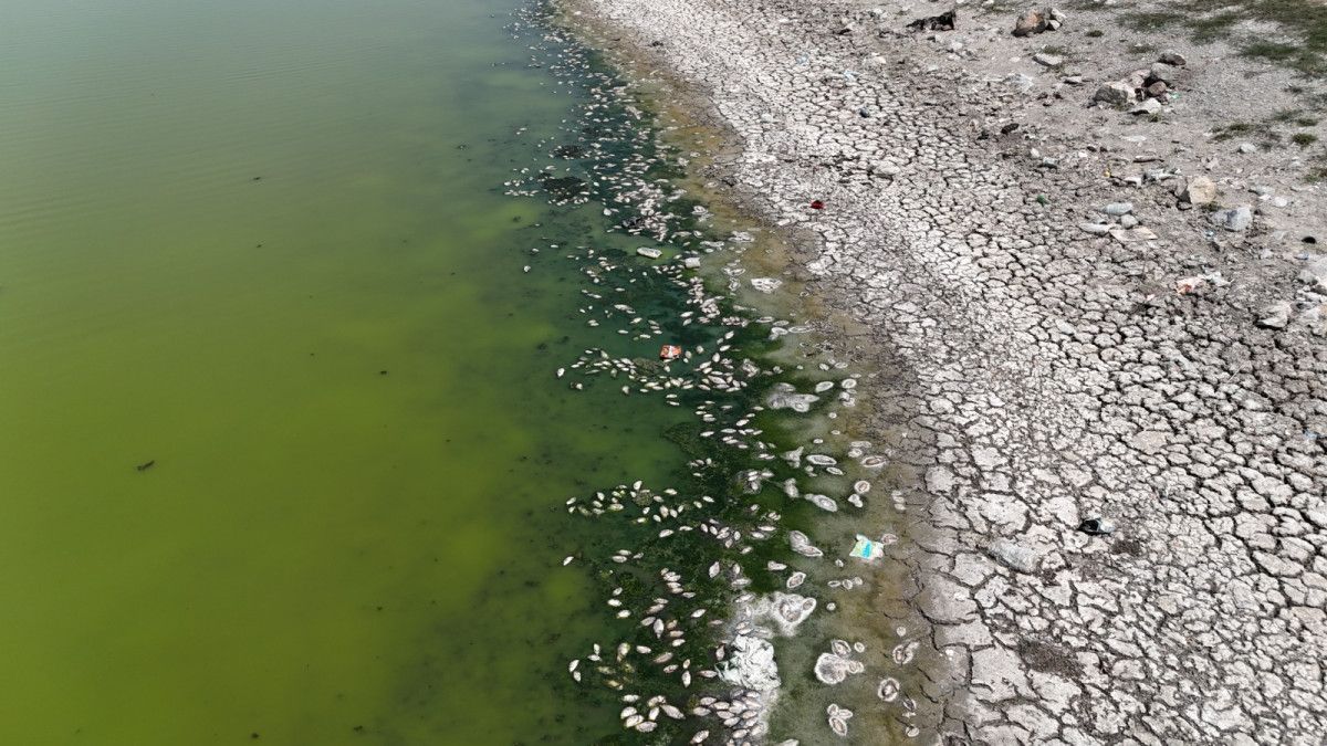 Kuruyan Gölet ve Çevresel Etkiler