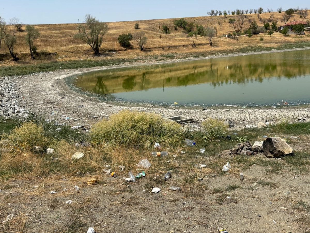 Kokunun ve Çevre Sağlığının Tehlikesi