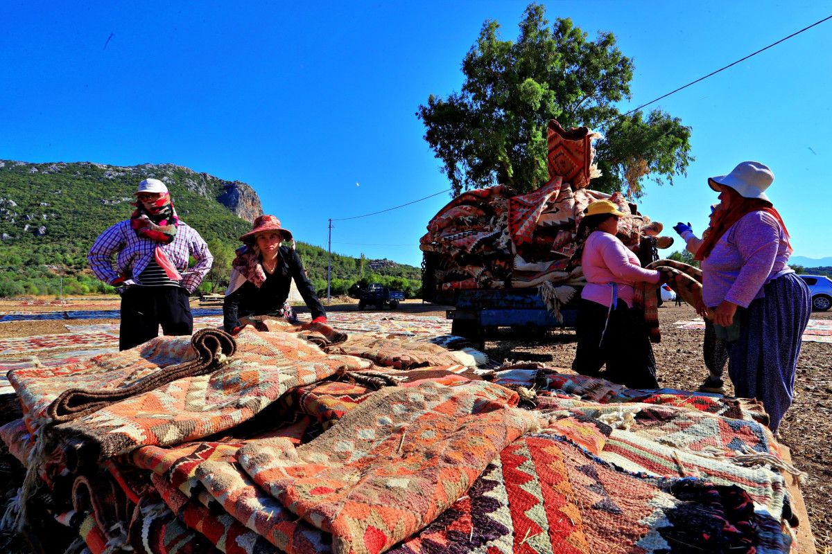 Hasat ve Temizlik Süreci