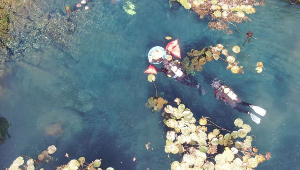 Antalya Körfezinde Çevre Felaketi Gerçekleşme Tehlikesi: Kirlilik Artışını Görülebilir Kıldı