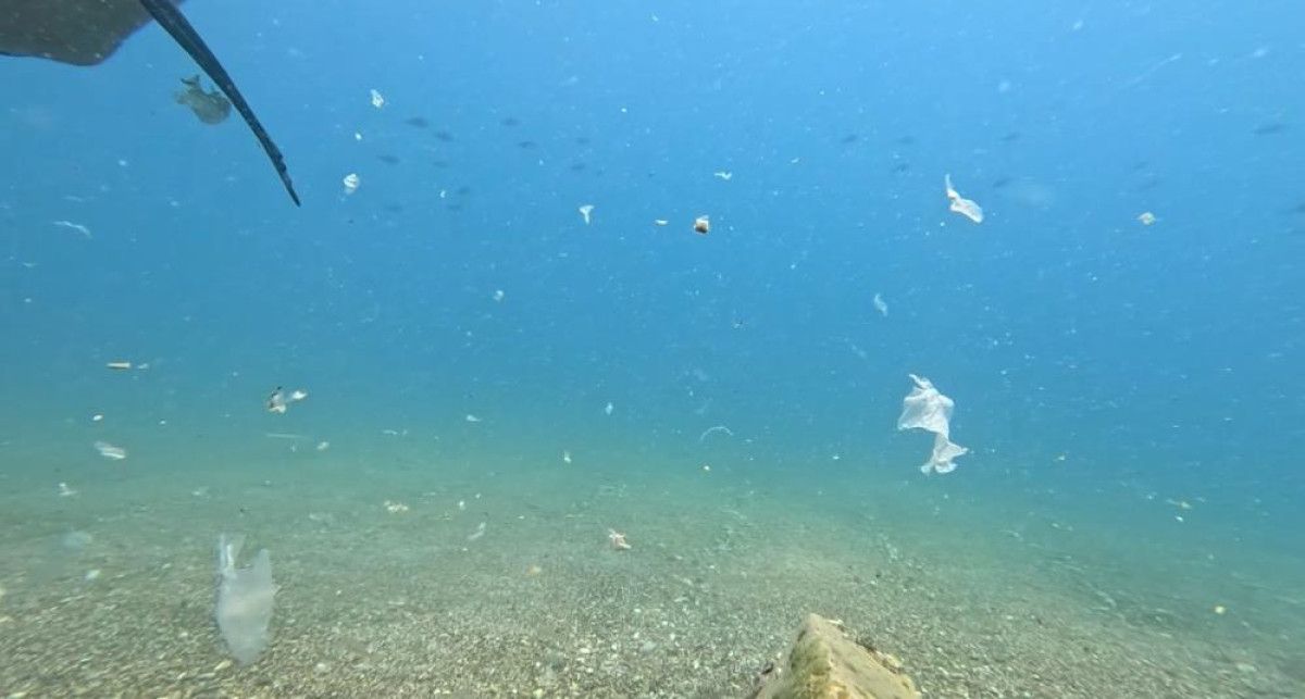 Antalya Körfezinde Çevre Felaketi Gerçekleşme Tehlikesi: Kirlilik Artışını Görülebilir Kıldı