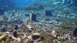 Antalya Körfezinde Çevre Felaketi Gerçekleşme Tehlikesi: Kirlilik Artışını Görülebilir Kıldı