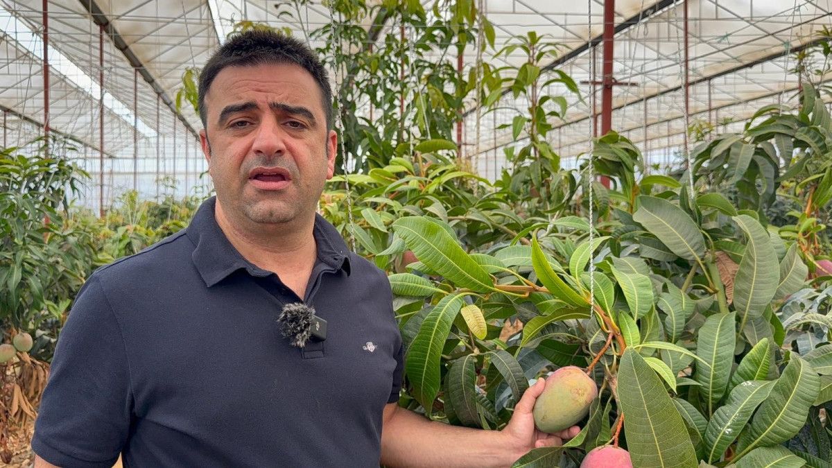 Üretimin Ekonomik ve Stratejik Önemi