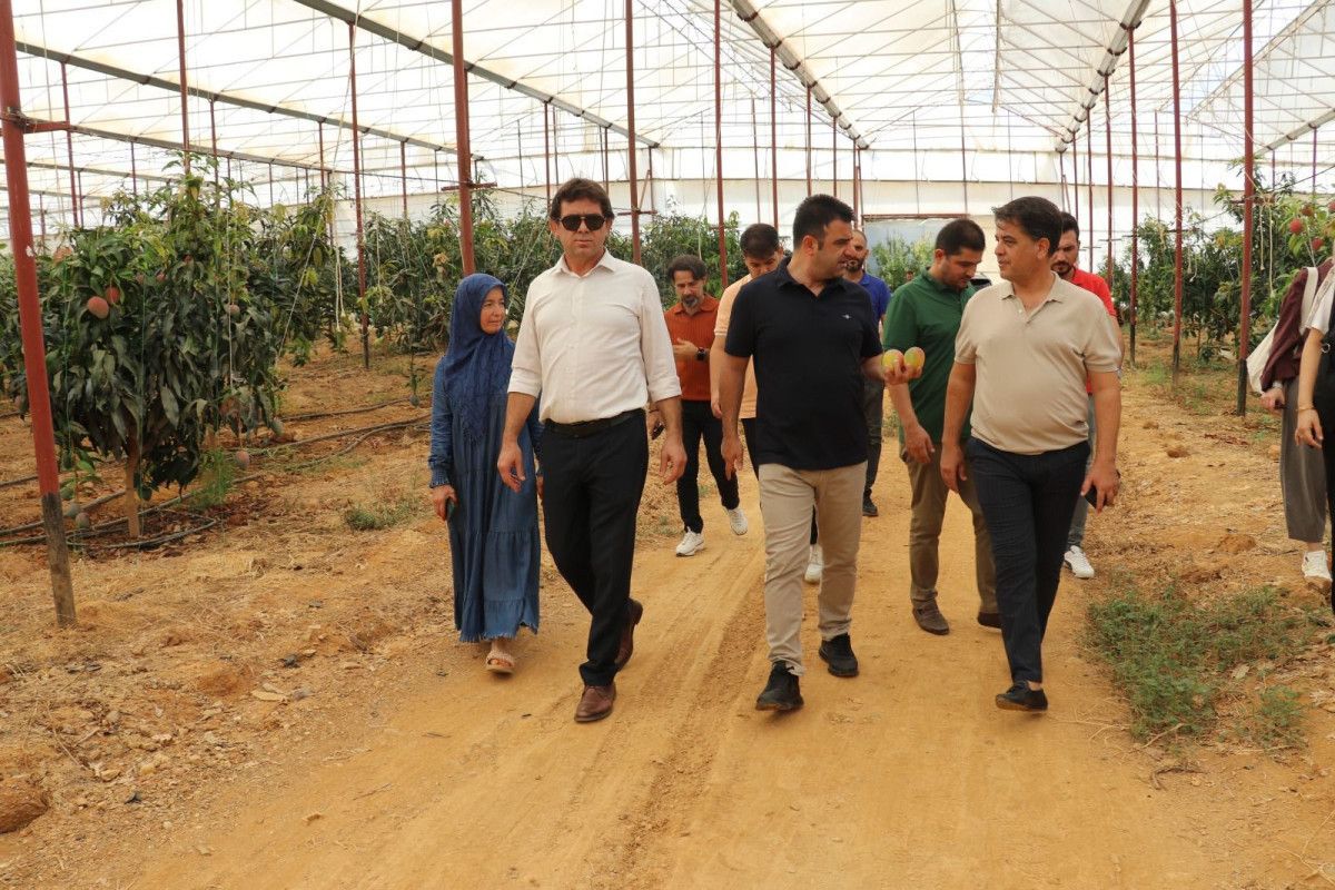 Rakamsal ve Coğrafi Gelişmeler