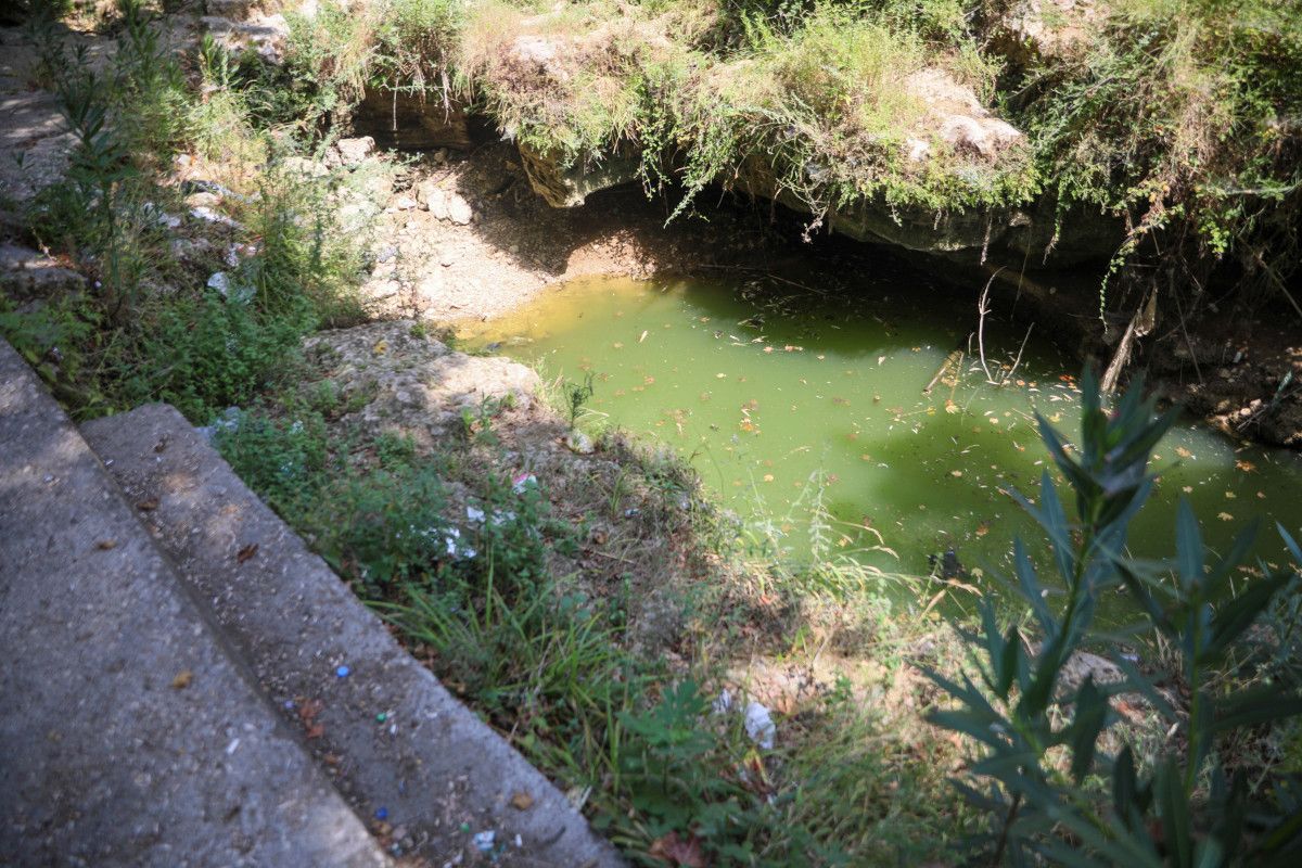 Antalya'daki Deredeki Yüzlerce Endemik Balık Ölümüne Dikkat