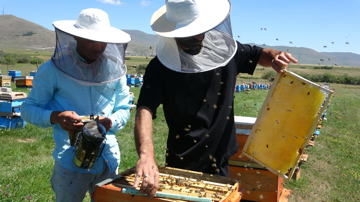 Balın Önemli Özellikleri ve Balık Sezonunun Başarısı