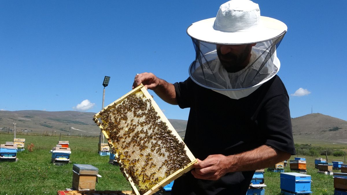Balın Önemli Özellikleri ve Balık Sezonunun Başarısı